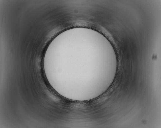 X0000101200106200807251035