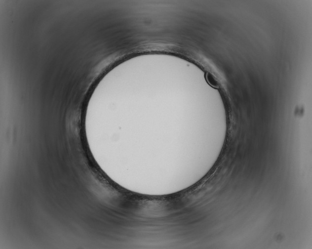 X0000101200107200807251035