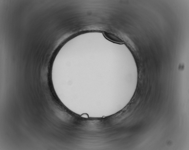 X0000101200108200807251035