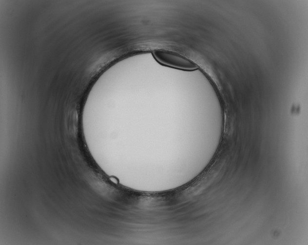 X0000101200109200807251035