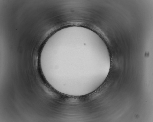 X0000101200110200807251035