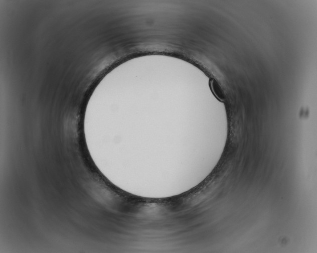 X0000101200111200807251035