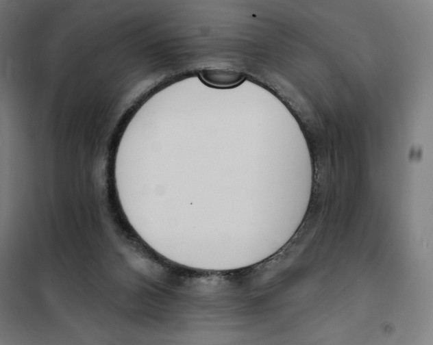 X0000101200112200807251035