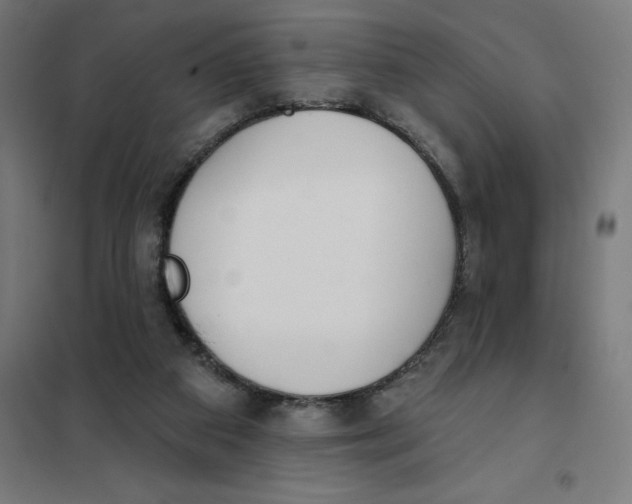 X0000101200113200807251035