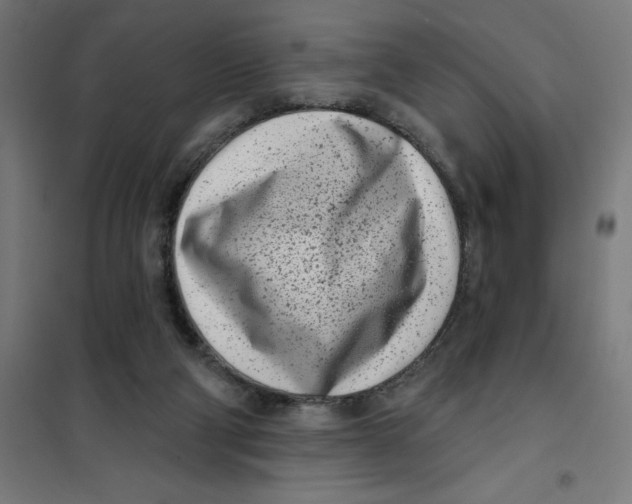X0000101200114200807251035