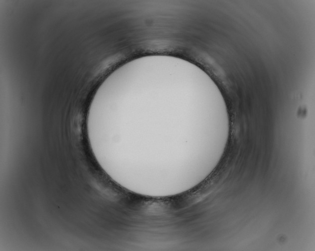 X0000101200115200807251035