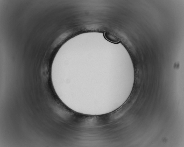 X0000101200116200807251035