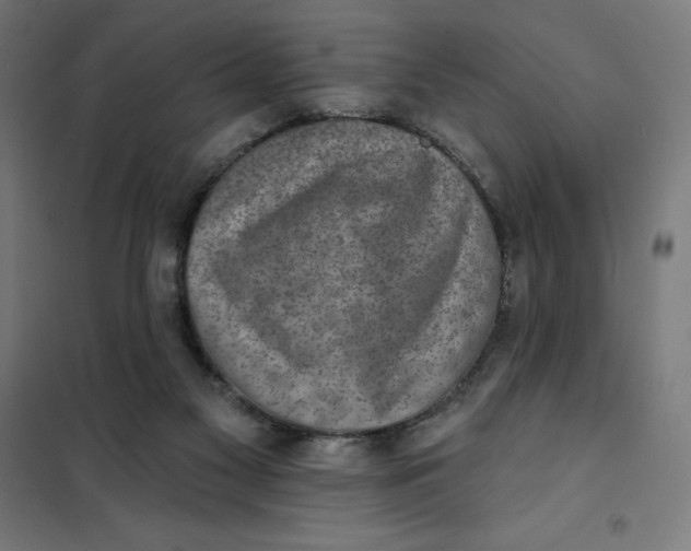 X0000101200117200807251035