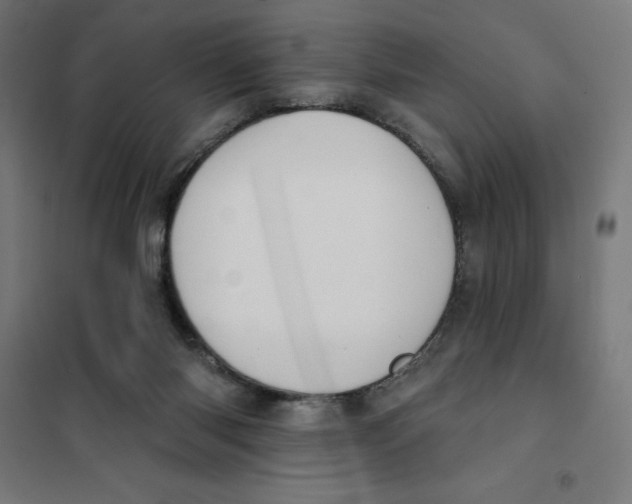 X0000101200118200807251035