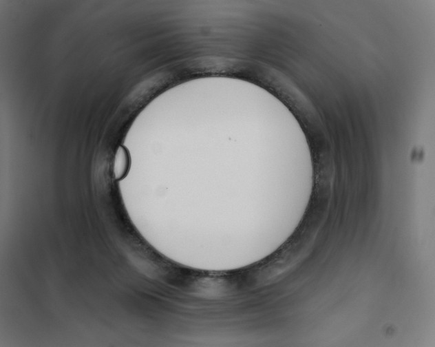 X0000101200119200807251035