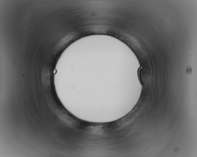 X0000101200120200807251035