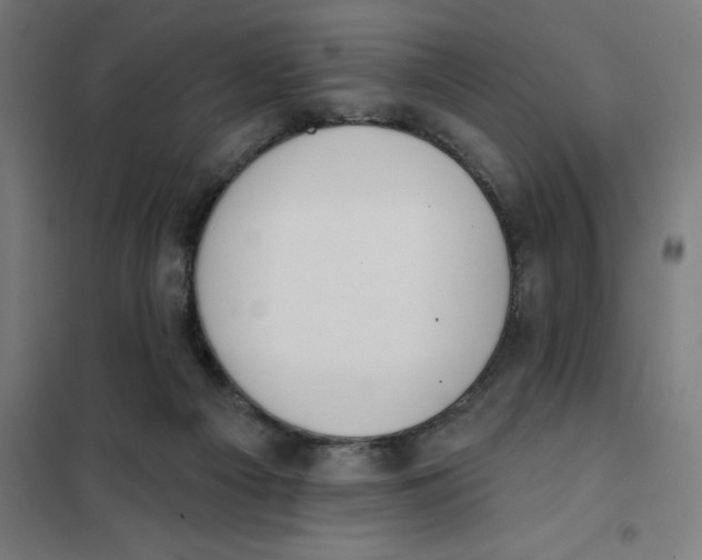X0000101200121200807251035