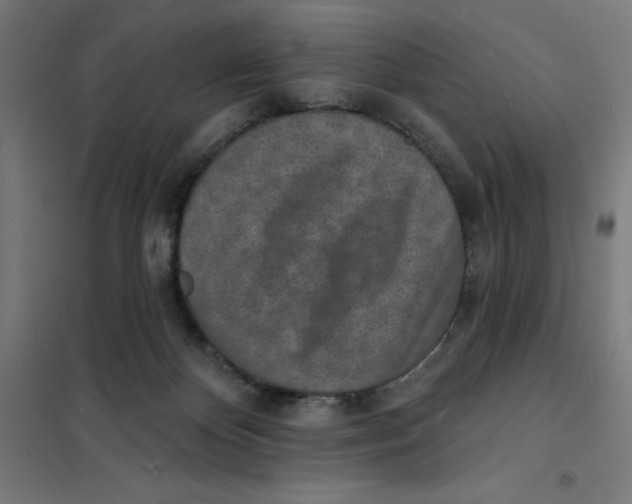 X0000101200124200807251035