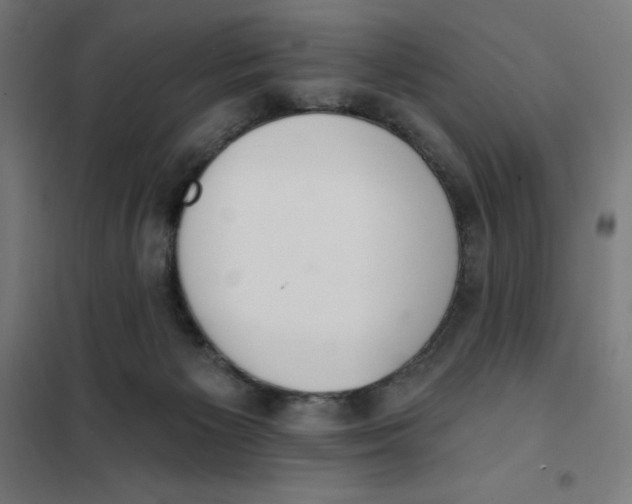 X0000101200125200807251035