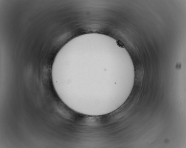 X0000101200126200807251035