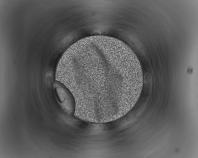 X0000101200127200807251035
