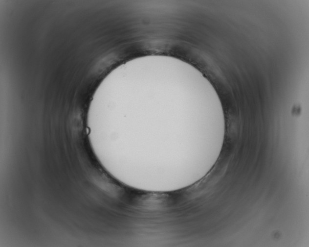 X0000101200128200807251035