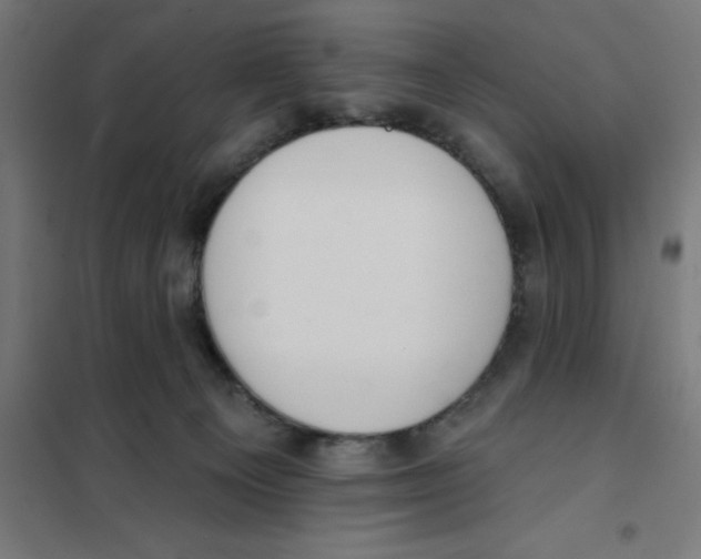 X0000101200129200807251035