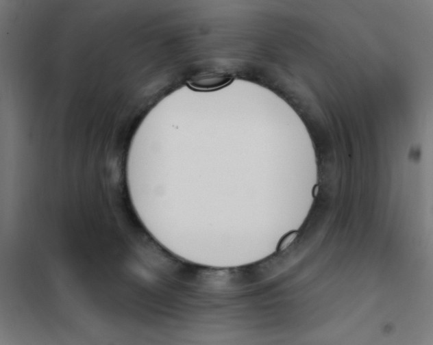 X0000101200131200807251035