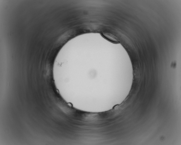 X0000101200132200807251035