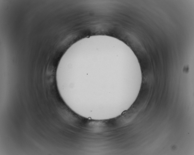 X0000101200133200807251035