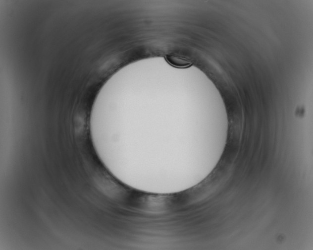 X0000101200134200807251035