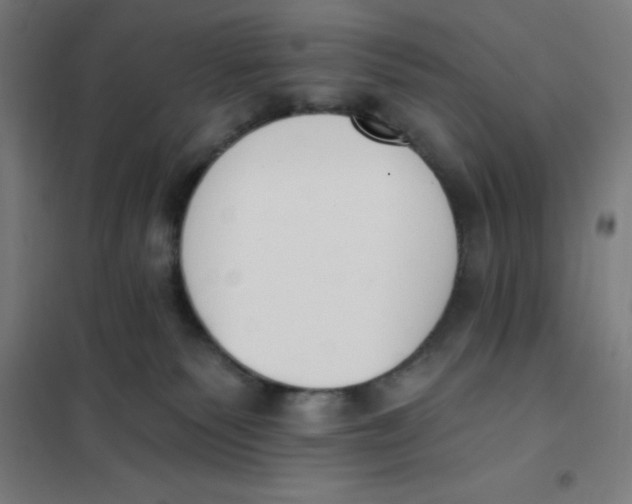X0000101200135200807251035