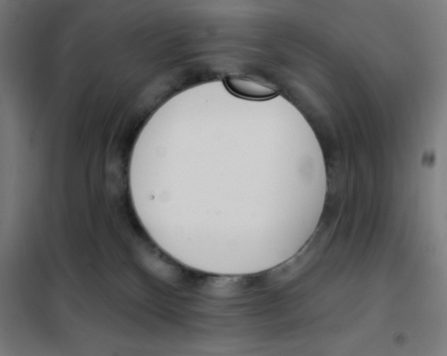 X0000101200136200807251035