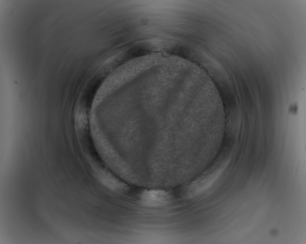 X0000101200137200807251034