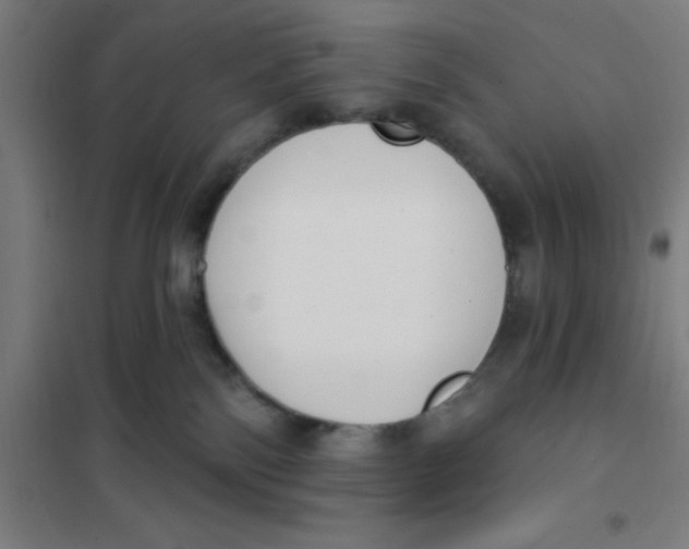 X0000101200138200807251034