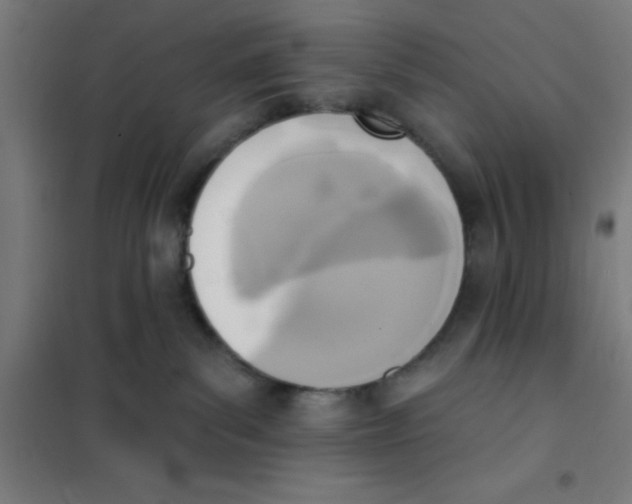 X0000101200139200807251034