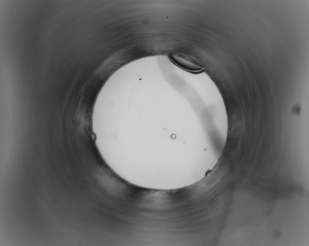 X0000101200140200807251034