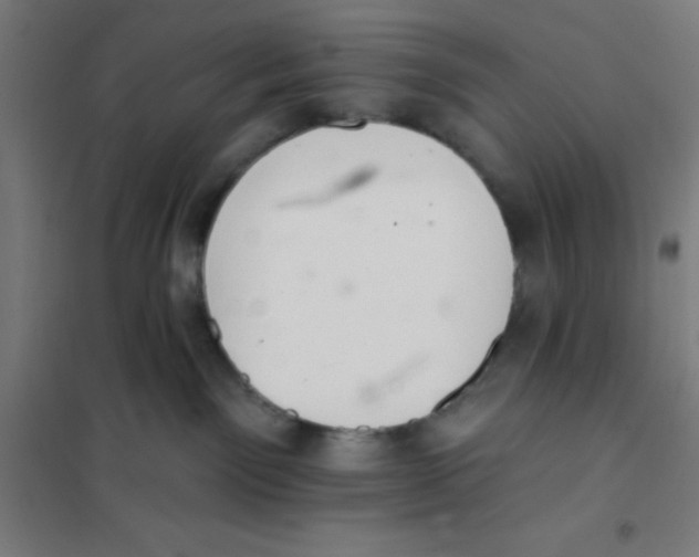 X0000101200141200807251034
