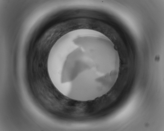 X0000101200143200807251034