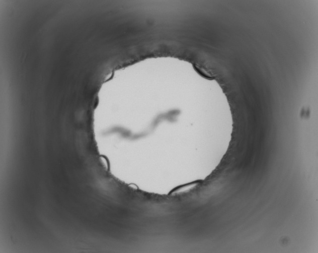 X0000101200144200807251034