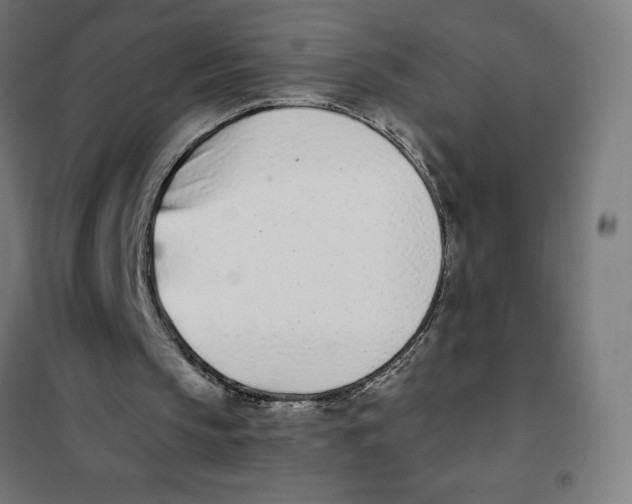 X0000101200145200807251034