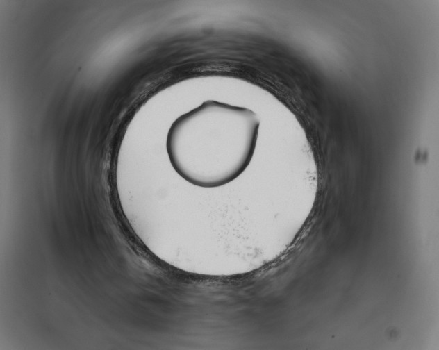X0000101200146200807251034