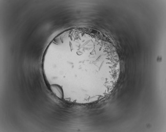 X0000101200147200807251034