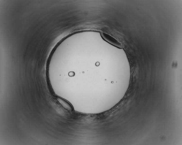 X0000101200148200807251034