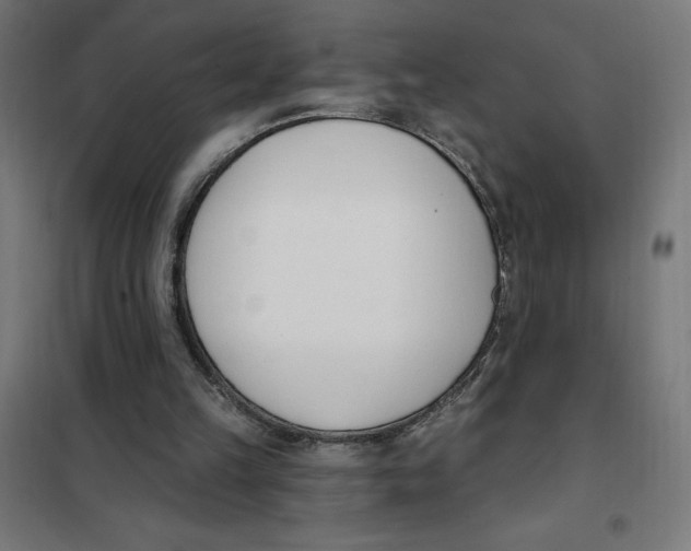 X0000101200149200807251034