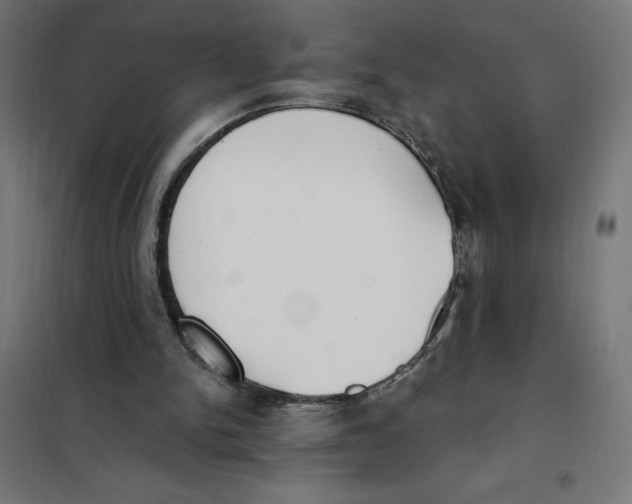X0000101200150200807251034