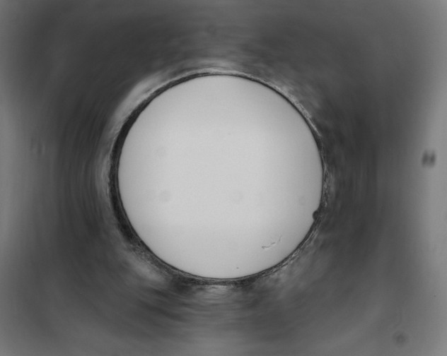 X0000101200151200807251034