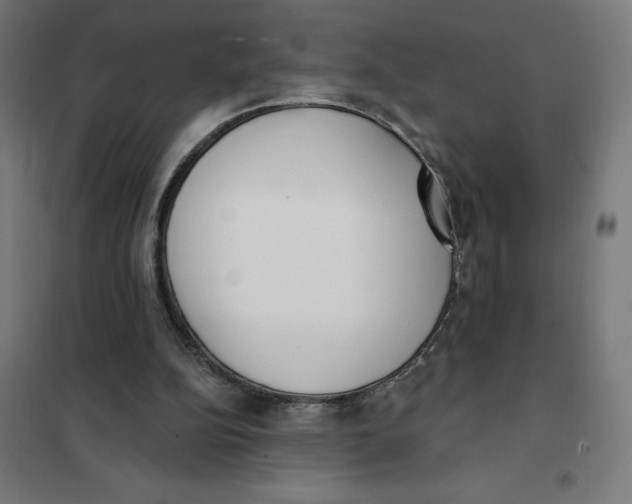 X0000101200152200807251034