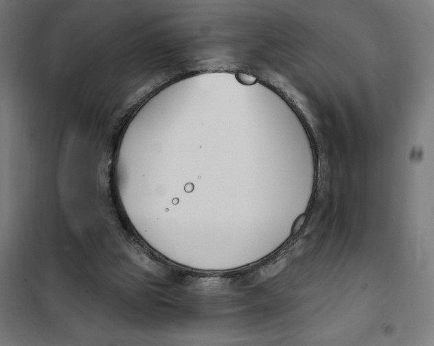 X0000101200153200807251034