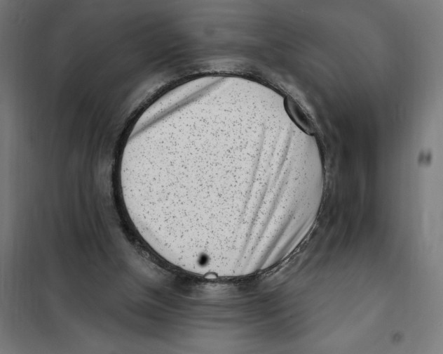 X0000101200154200807251034