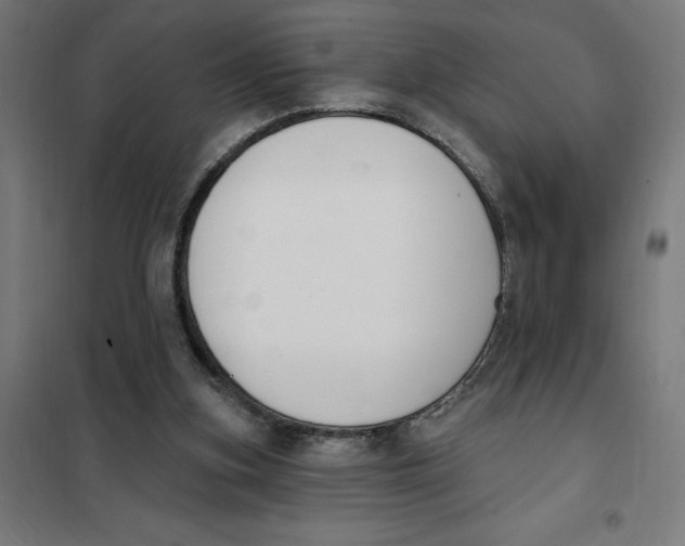 X0000101200155200807251034