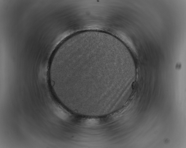 X0000101200156200807251034