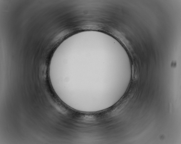 X0000101200157200807251034