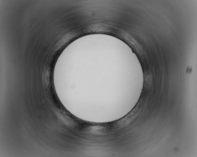 X0000101200158200807251034
