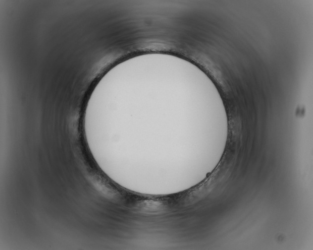 X0000101200159200807251034